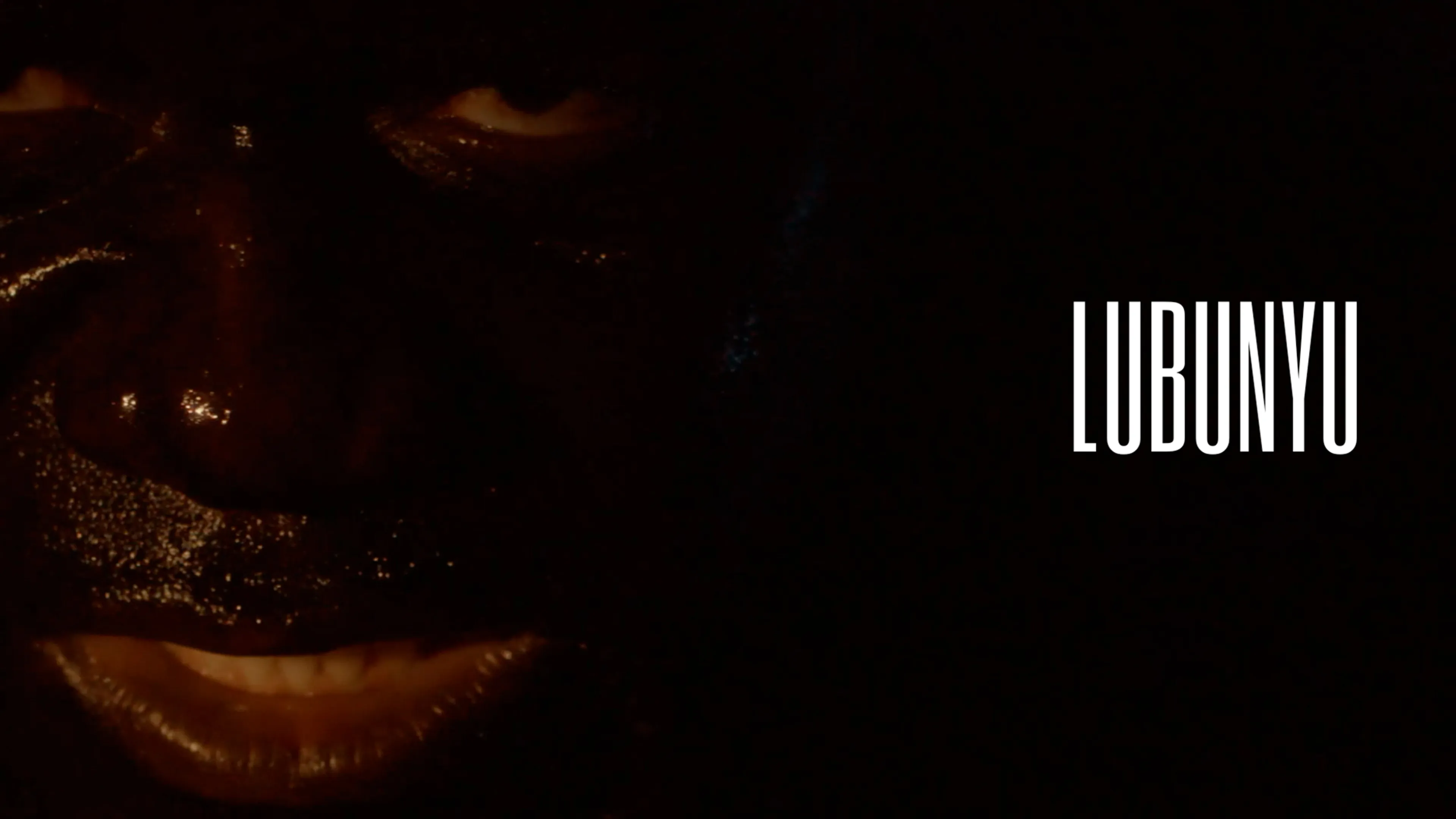 Lubunyu poster